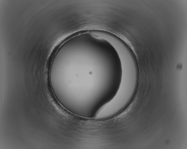 X0000090470981200708031301