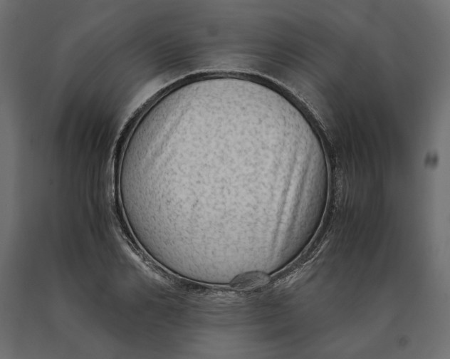 X0000090470982200708031301