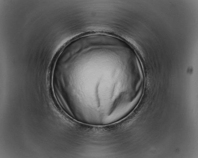 X0000090470983200708031301