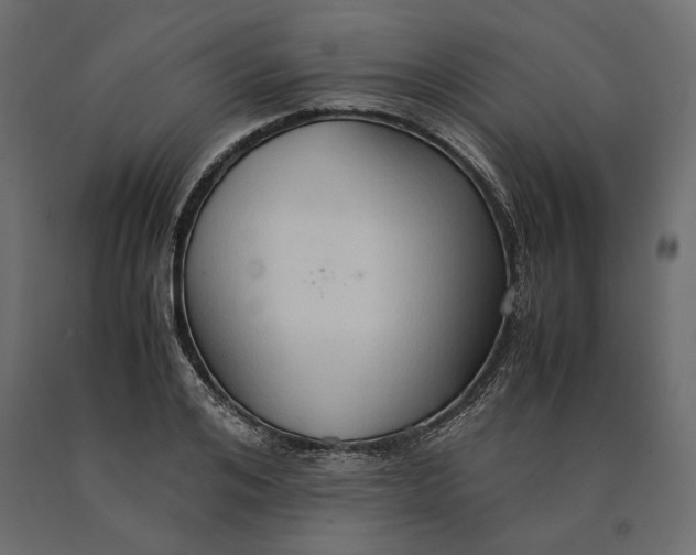 X0000090470984200708031301