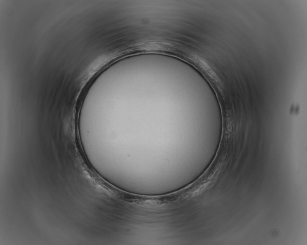 X0000090470986200708031301