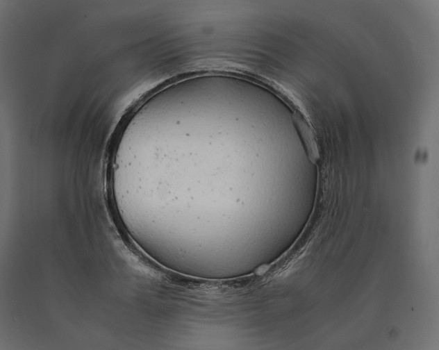 X0000090470987200708031301