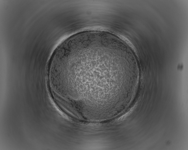 X0000090470989200708031301