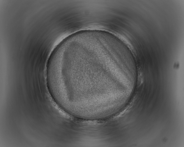 X0000090470990200708031301