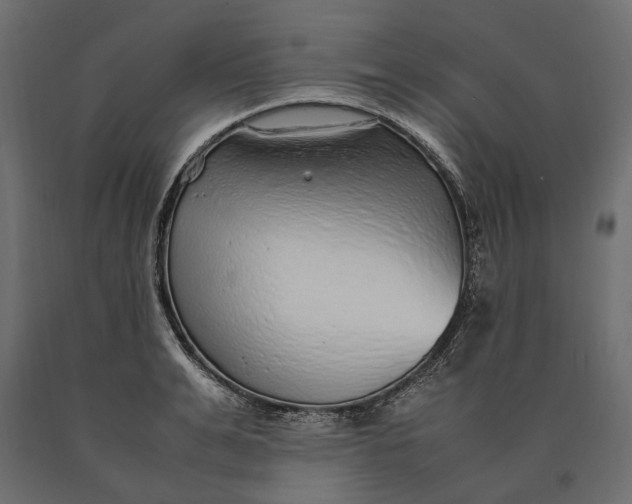 X0000090470991200708031301