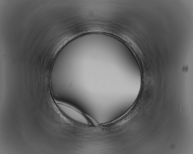 X0000090470993200708031301