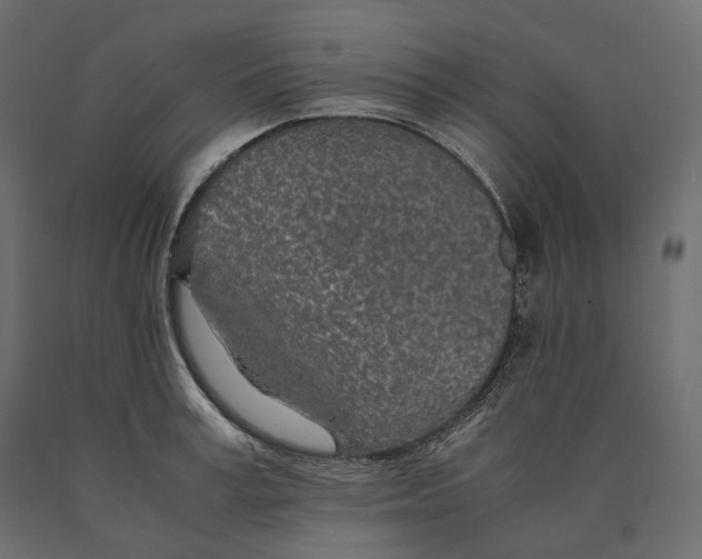 X0000090470995200708031301