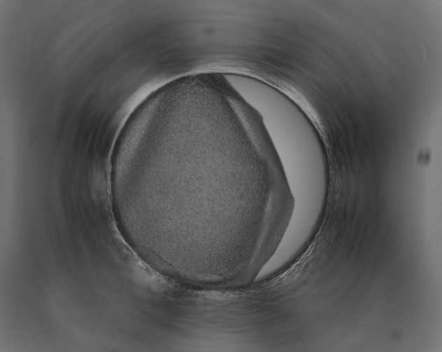 X0000090470996200708031301