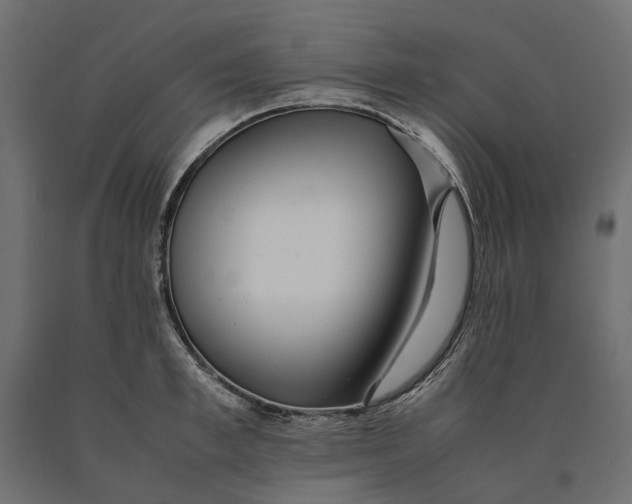 X0000090470997200708031301