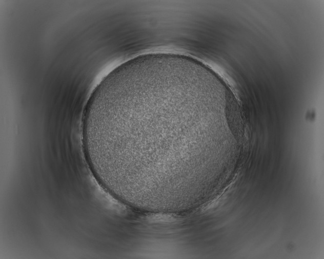 X0000090470998200708031301