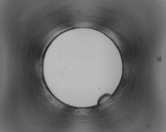 X0000090471000200708031301