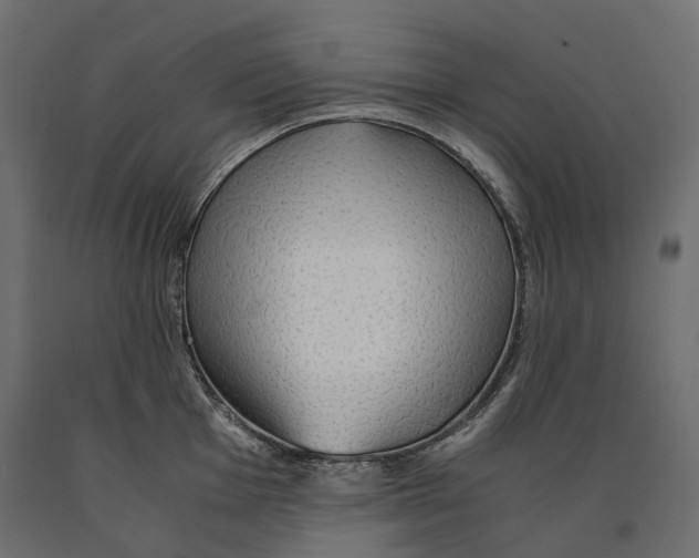 X0000090471001200708031300