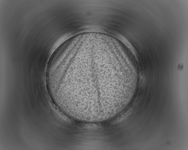 X0000090471002200708031300