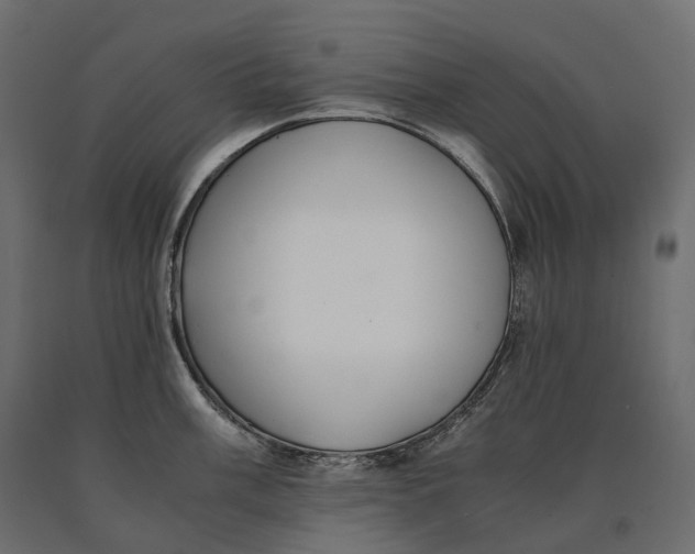 X0000090471003200708031300