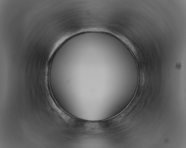 X0000090471006200708031300