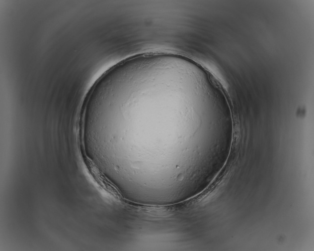 X0000090471007200708031300