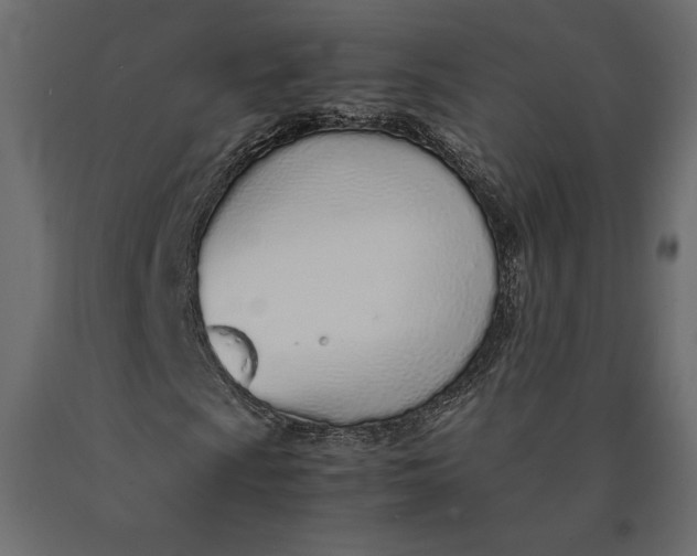 X0000090471009200708031300