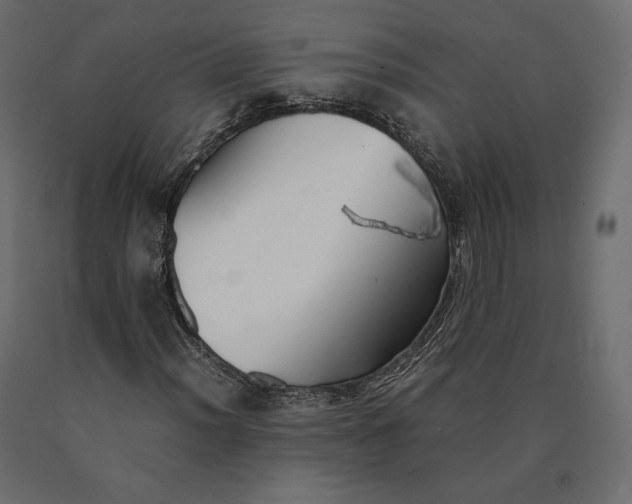 X0000090471012200708031300