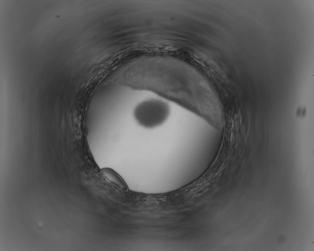 X0000090471013200708031300