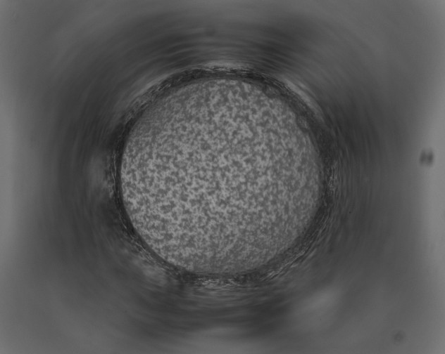 X0000090471015200708031300