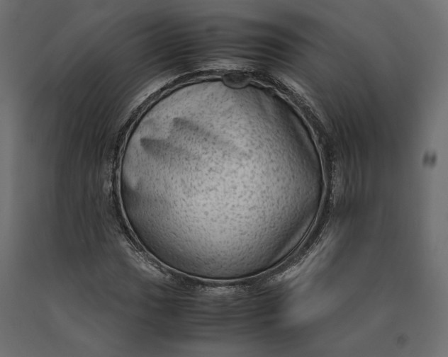 X0000090471017200708031300