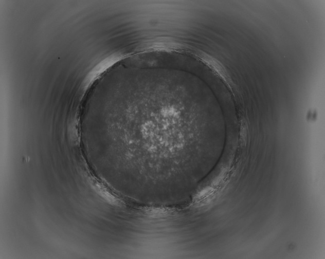 X0000090471018200708031300