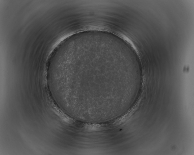 X0000090471019200708031300