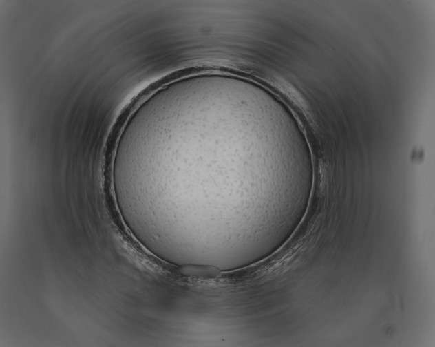 X0000090471020200708031300