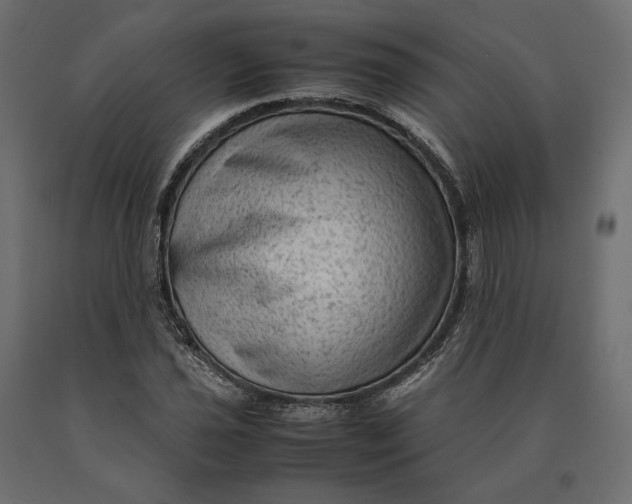 X0000090471021200708031300