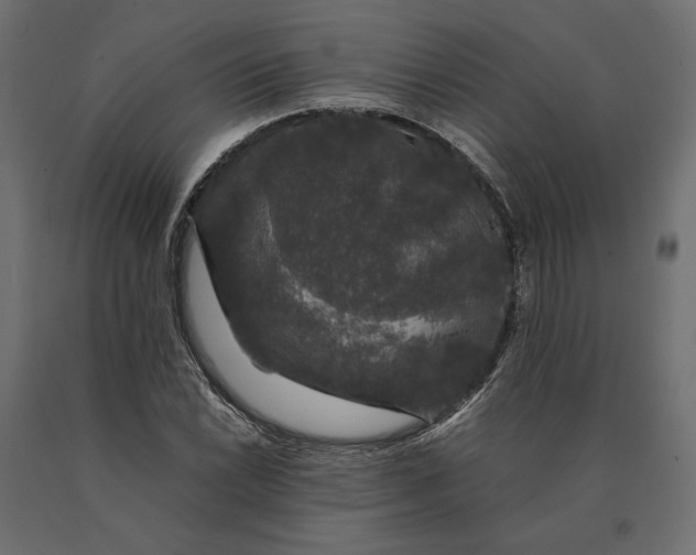 X0000090471022200708031300