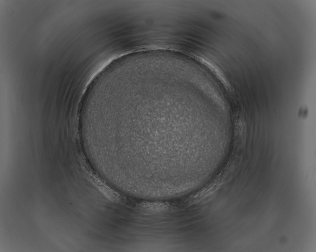 X0000090471023200708031300