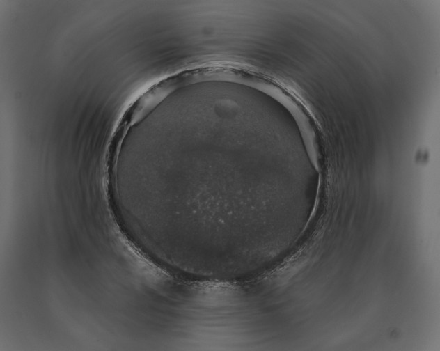 X0000090471024200708031300