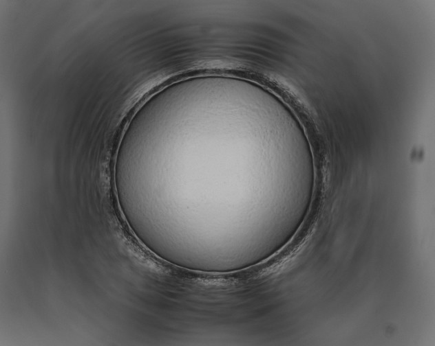 X0000090471025200708031300