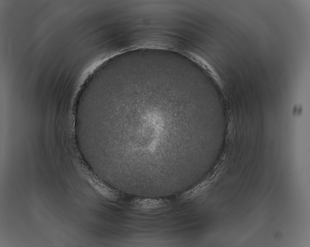 X0000090471027200708031300