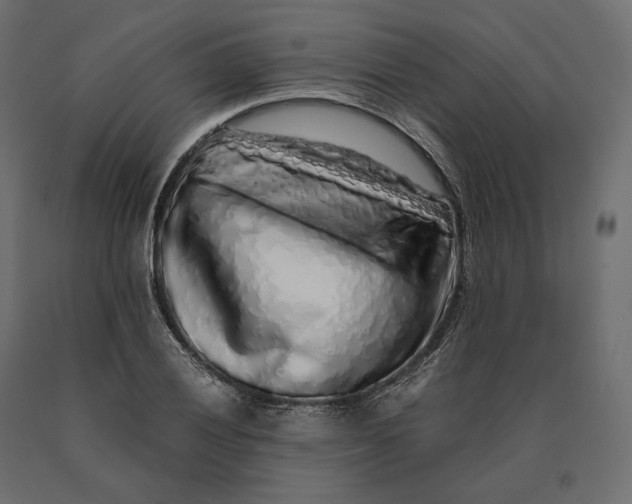 X0000090471028200708031300