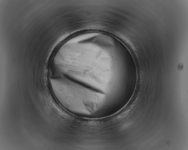 X0000090471029200708031300