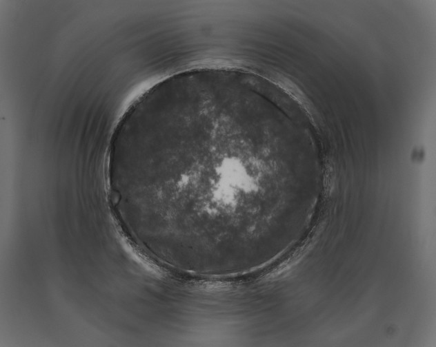 X0000090471030200708031300