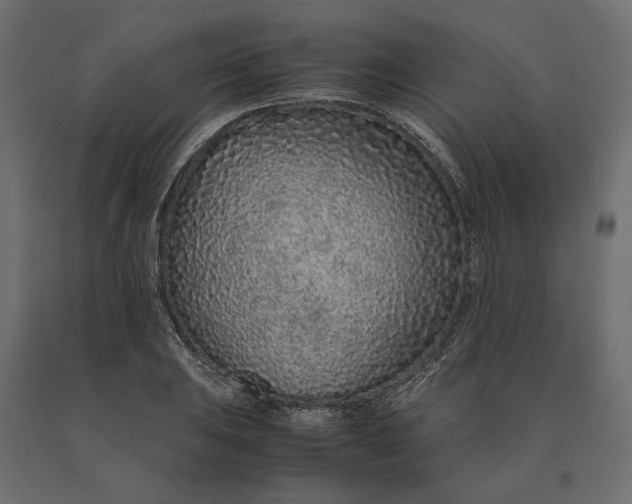 X0000090471031200708031300