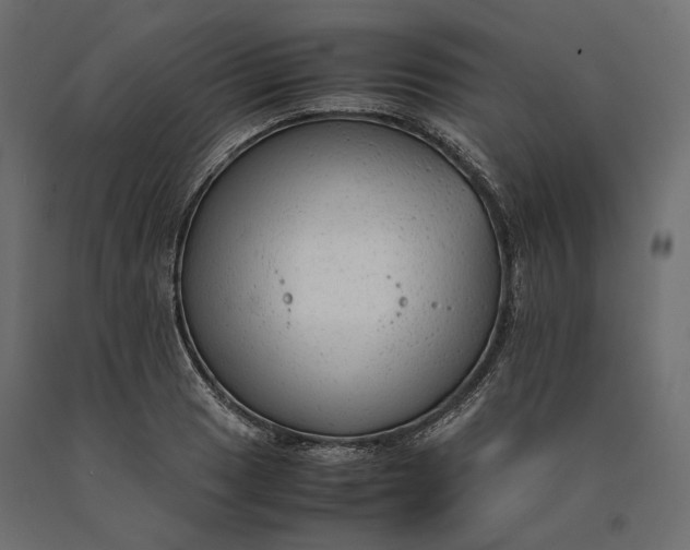 X0000090471033200708031300