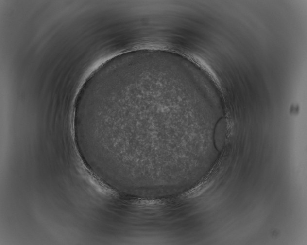 X0000090471035200708031300