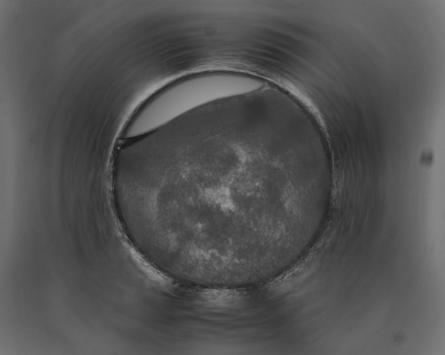 X0000090471037200708031300