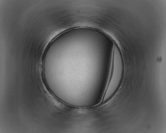 X0000090471040200708031300