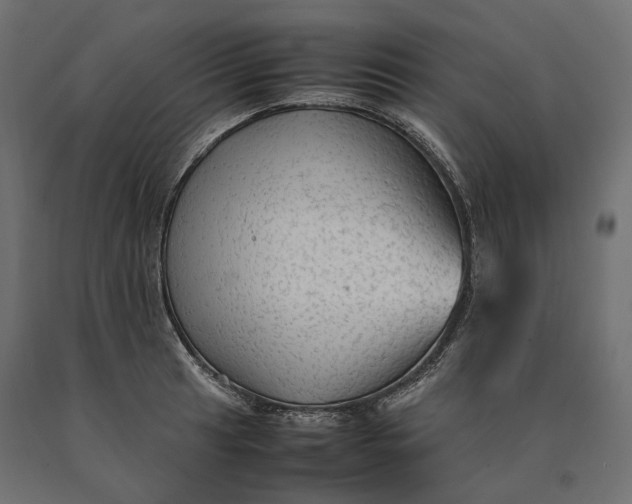 X0000090471041200708031300