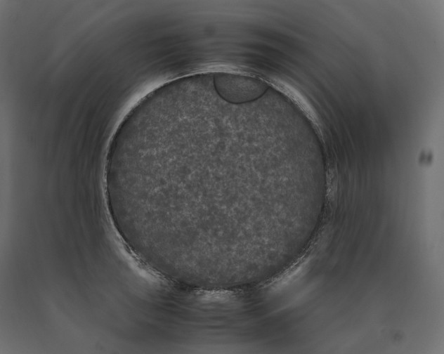 X0000090471043200708031300