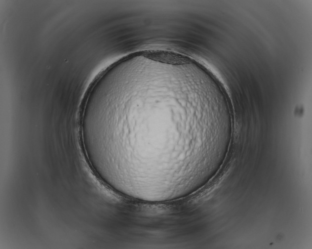 X0000090471045200708031300