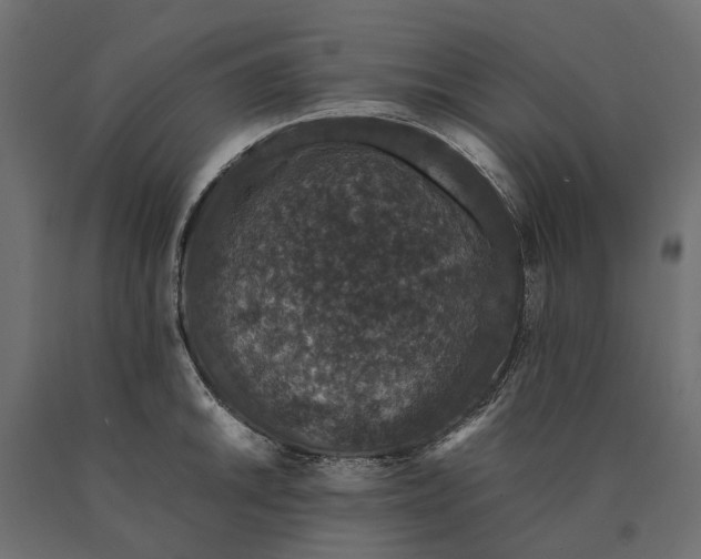 X0000090471046200708031300