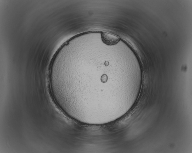 X0000090471048200708031300