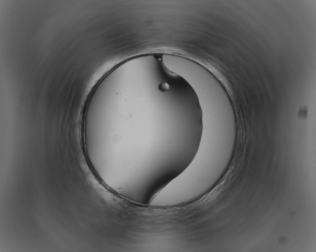 X0000090471054200708031300