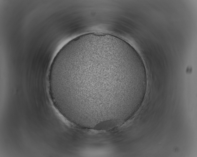 X0000090471056200708031300