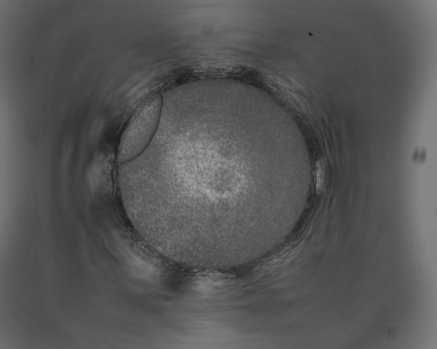 X0000090471059200708031300